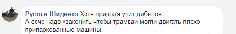 "Природа вчить": киян попередили про крижану небезпеку