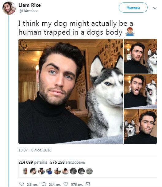 Одно лицо: в сети запустили флешмоб с собаками, похожими на хозяев