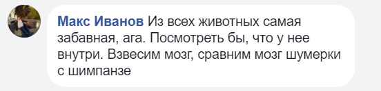 "Ба-бах, всрал*сь?" Савченко снялась в провокационном видео