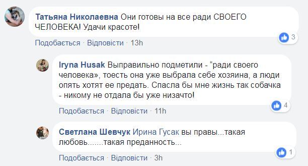 "Вона врятувала життя": історія про хоробрість собаки в Києві розчулила мережу