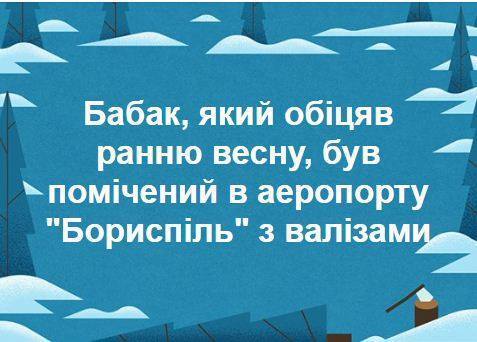 Погода в Украине: что теперь хотят сделать с сурком Тимкой