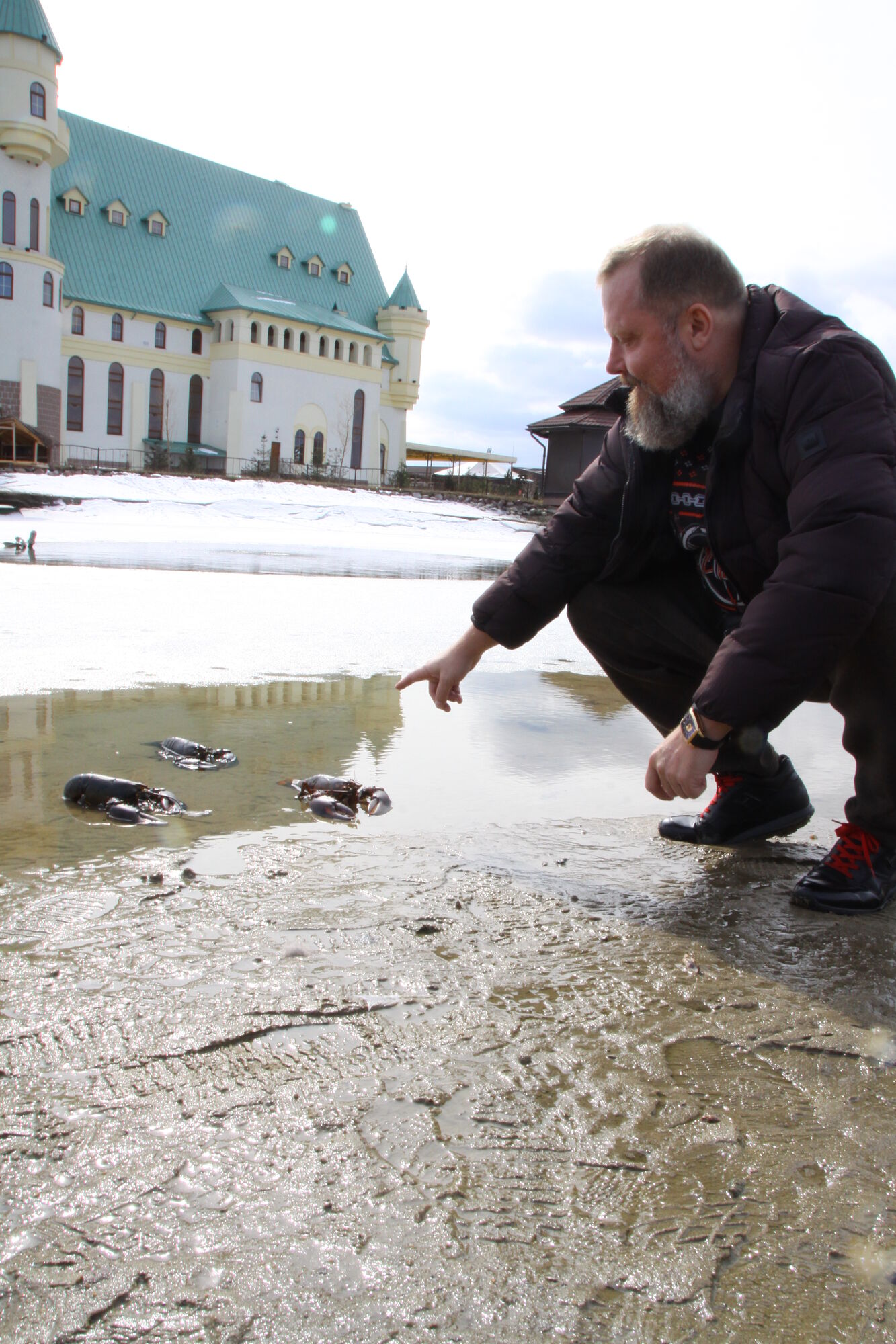 ЧП в зоопарке на Киевщине: зоотехники заметили необычную активность в озере
