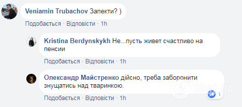 Погода в Украине: что теперь хотят сделать с сурком Тимкой