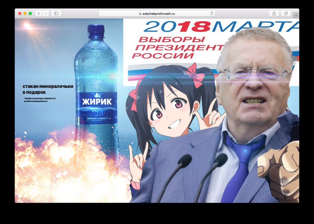 Сайт Собчак взломали, "потроллив" фото с Жириновским