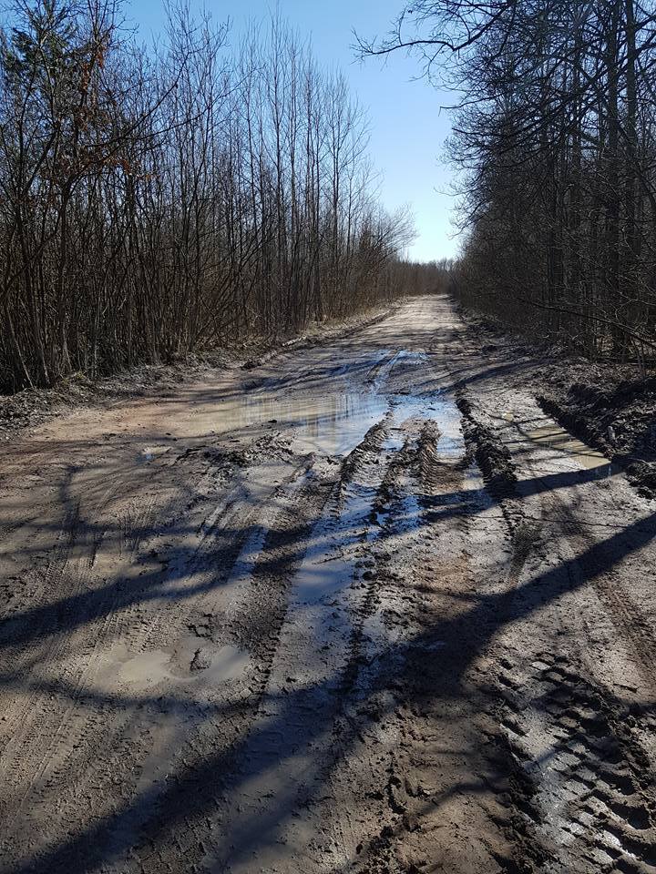 "Не доїдеш": з'явилися показові знімки стану доріг в Україні