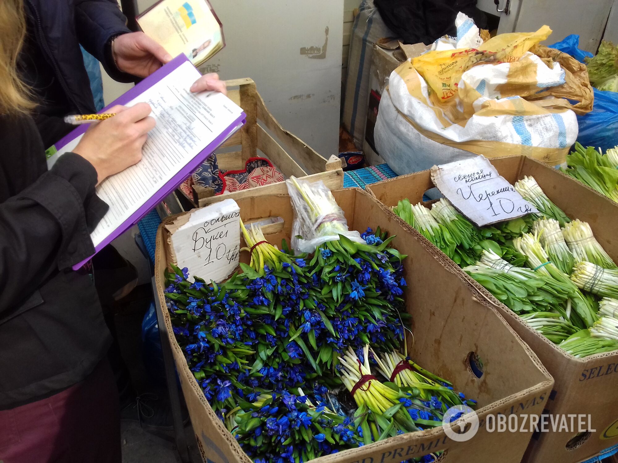 В Харькове устроили облаву на торговцев редкими растениями: яркий фоторепортаж