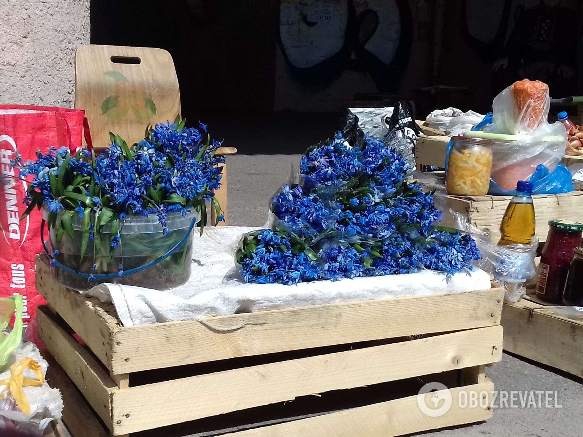 У Харкові влаштували облаву на торговців рідкісними рослинами: ясркавий фоторепортаж