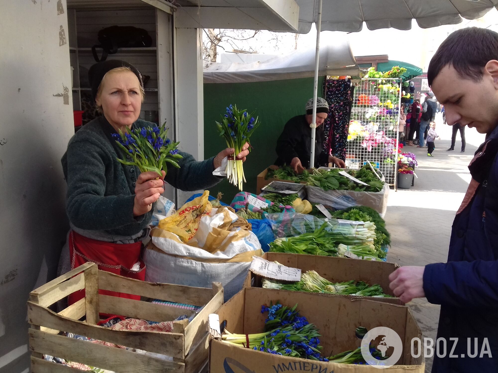 В Харькове устроили облаву на торговцев редкими растениями: яркий фоторепортаж