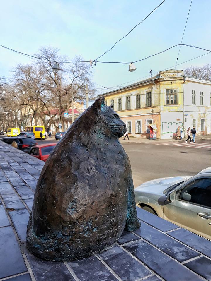 В Одесі увіковічули найтовстішу базарну кішку
