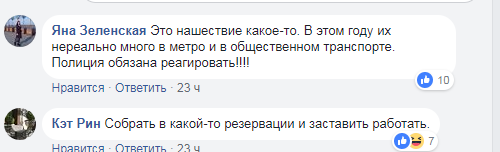 "Это нашествие!" Толпа ромов устроила беспредел в киевском метро 