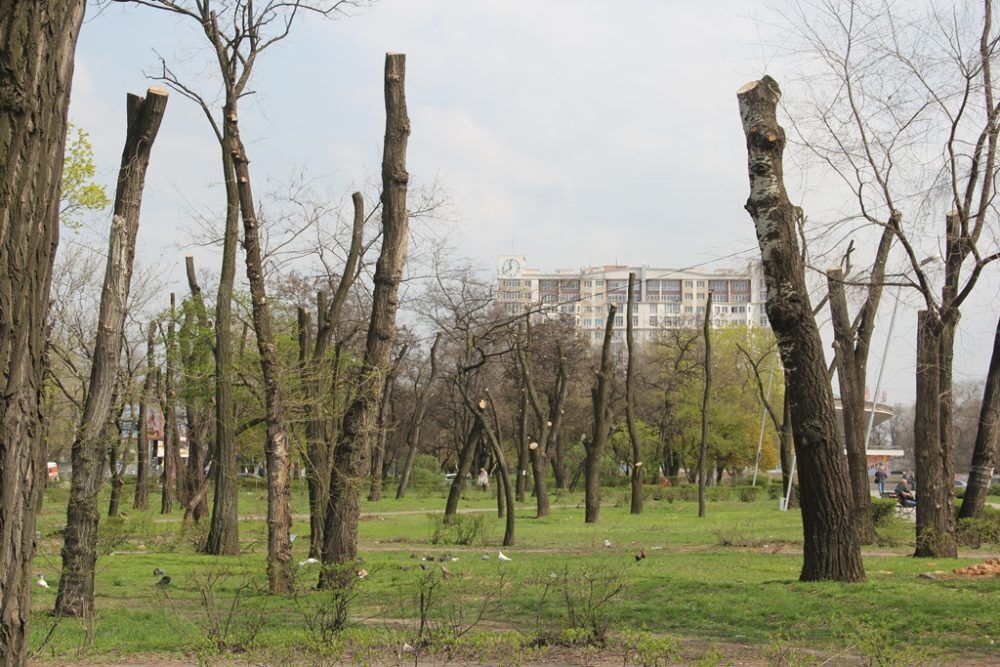 Запорожский парк стал яблоком раздора для жителей города (ФОТО)