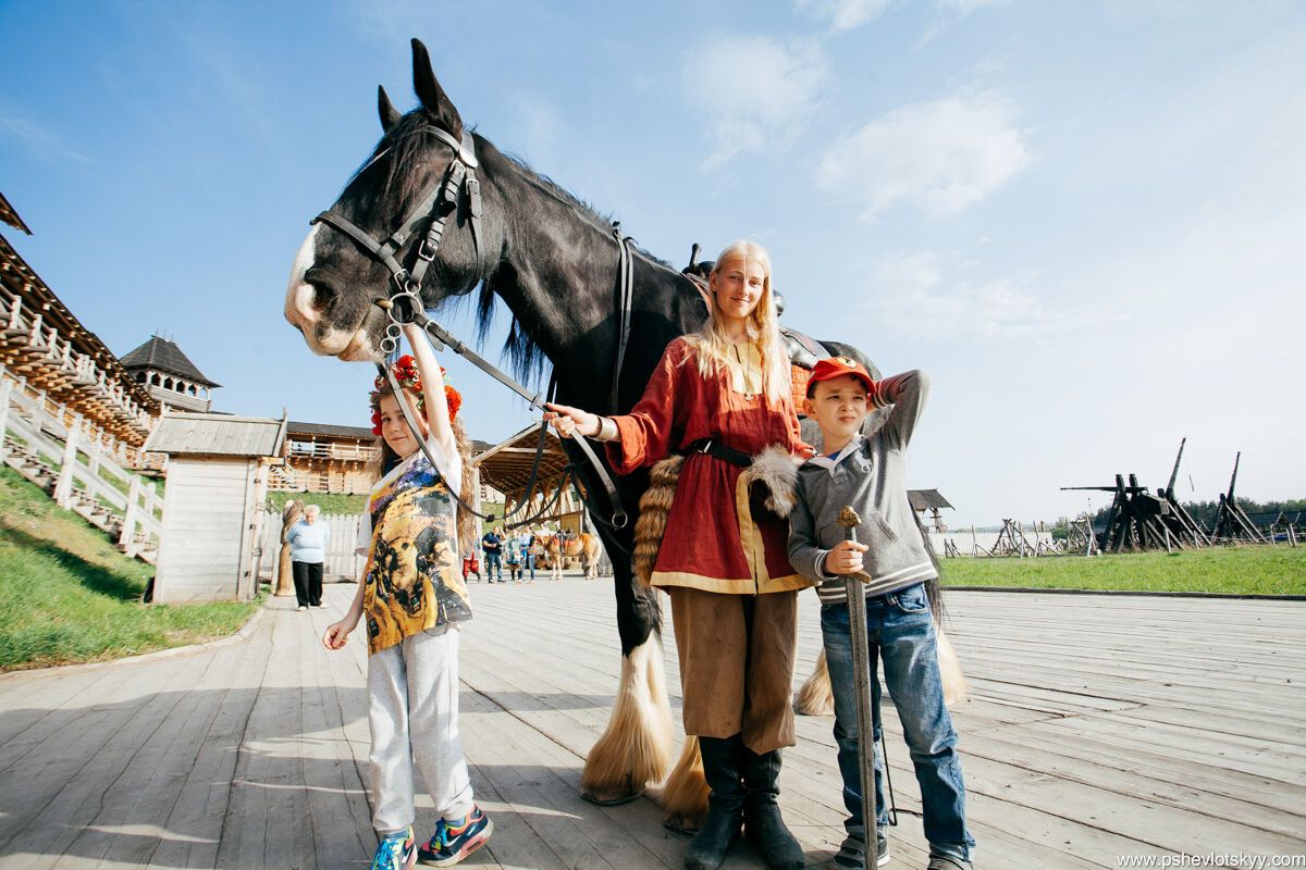 Под Киевом покажут уникальных лошадей