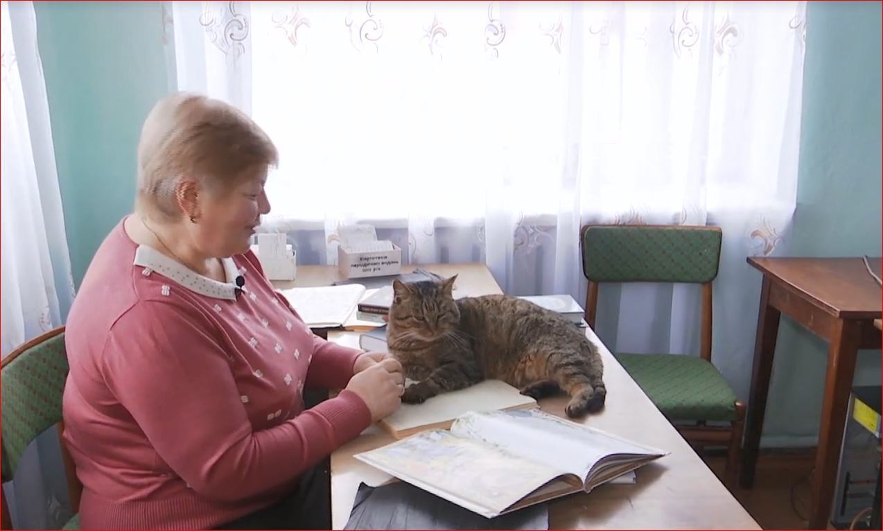 Кішка-чиновник і ворона-сексистка: найдивніші тварини України