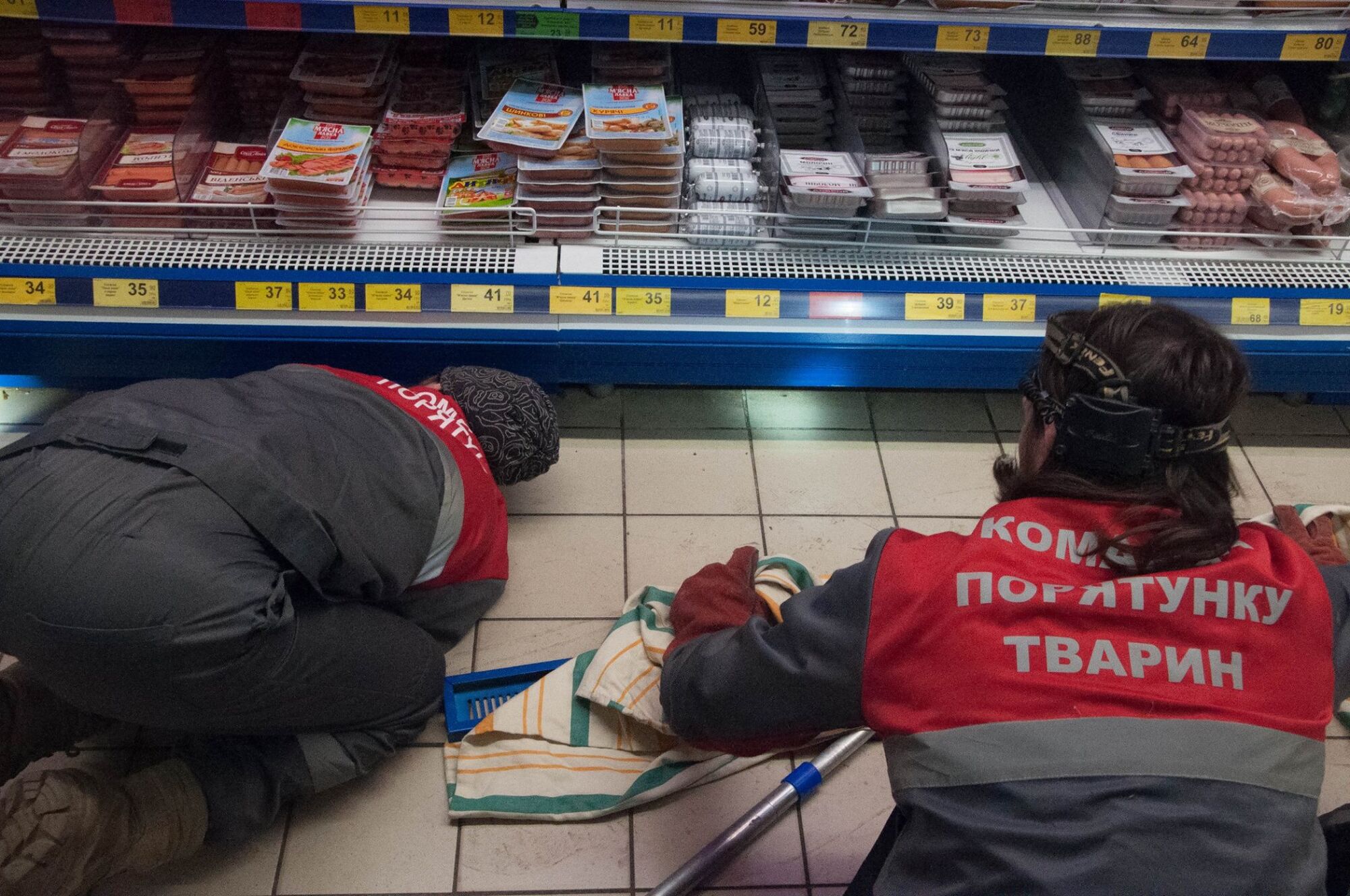 Ловили п'ятеро: у Києві кіт "захопив" ковбасний відділ у супермаркеті