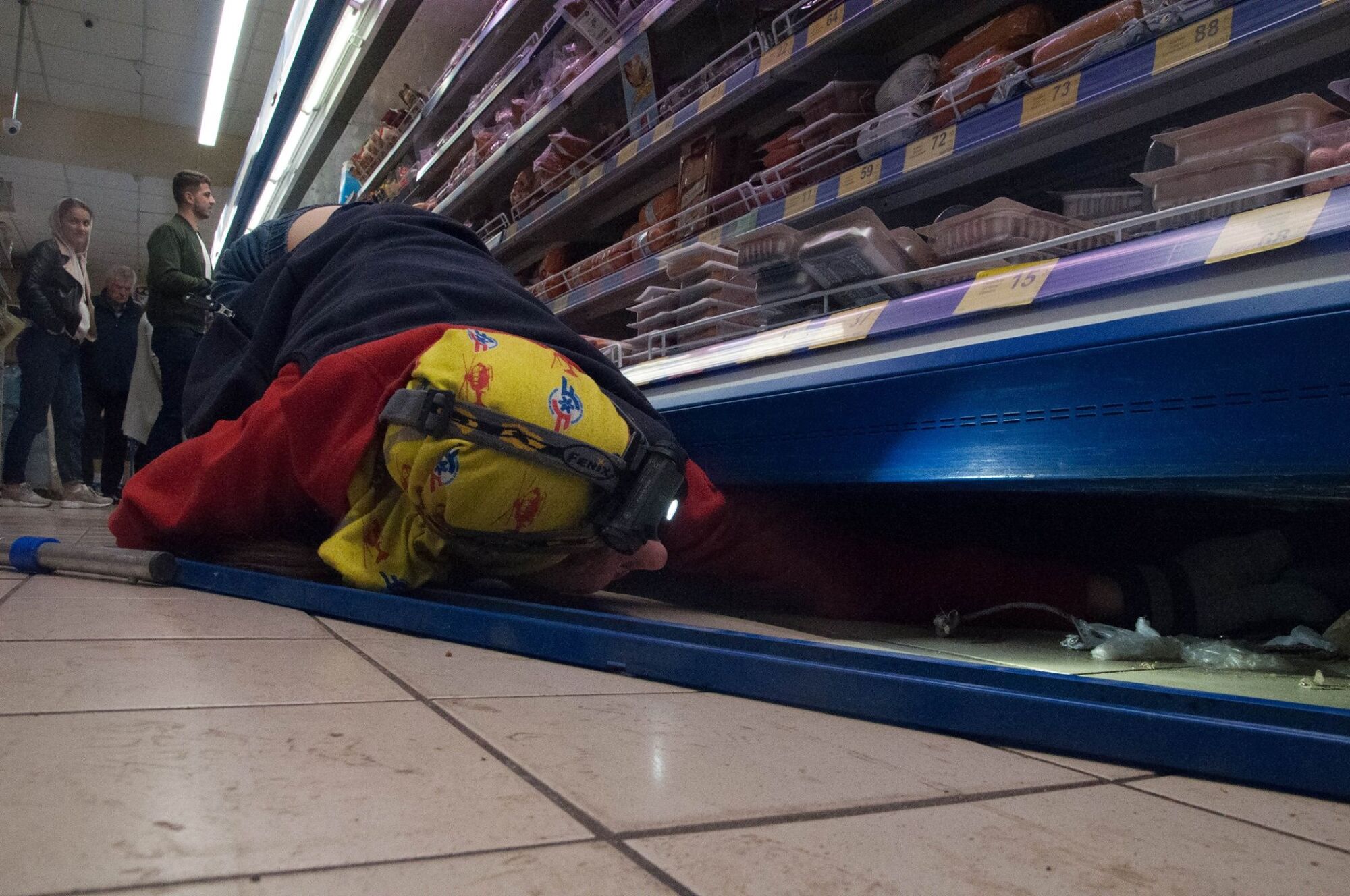 Ловили пятеро: в Киеве кот "захватил" колбасный отдел в супермаркете