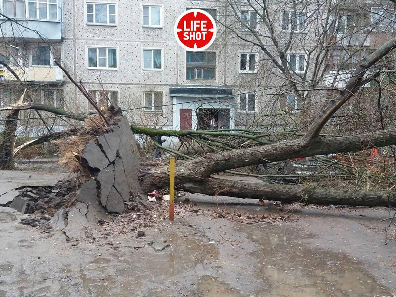 По Москве прошелся мощный ураган: среди погибших ребенок