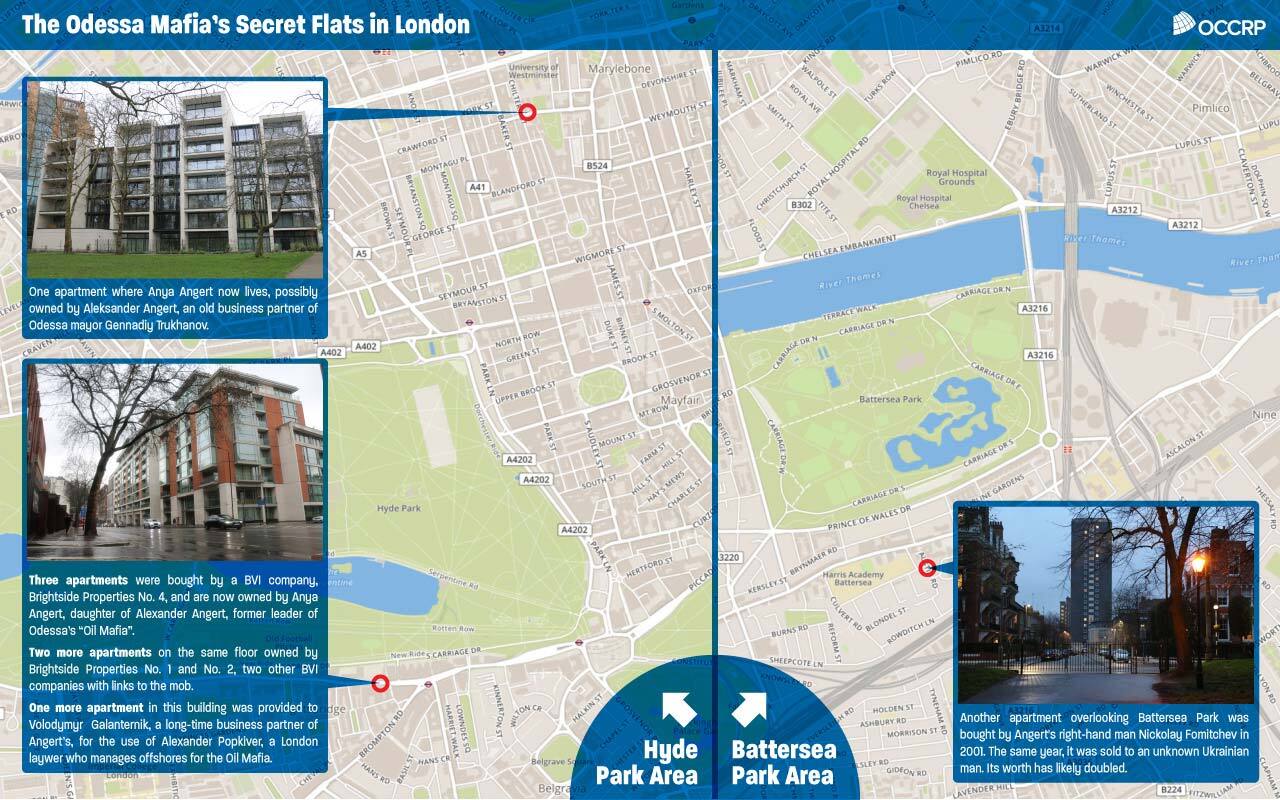 Эдин Пасович, OCCRP