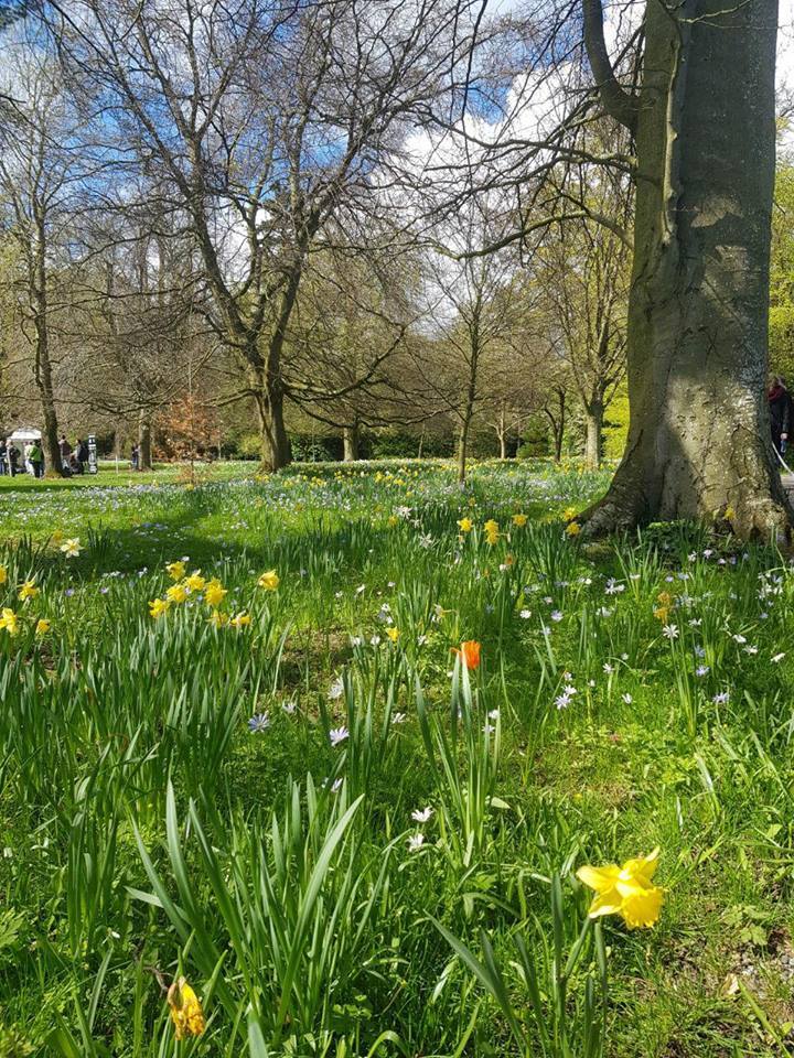 Климат и погода в Ирландии
