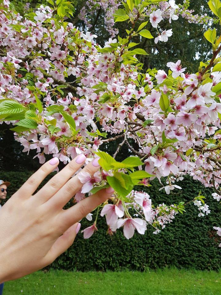 Климат и погода в Ирландии