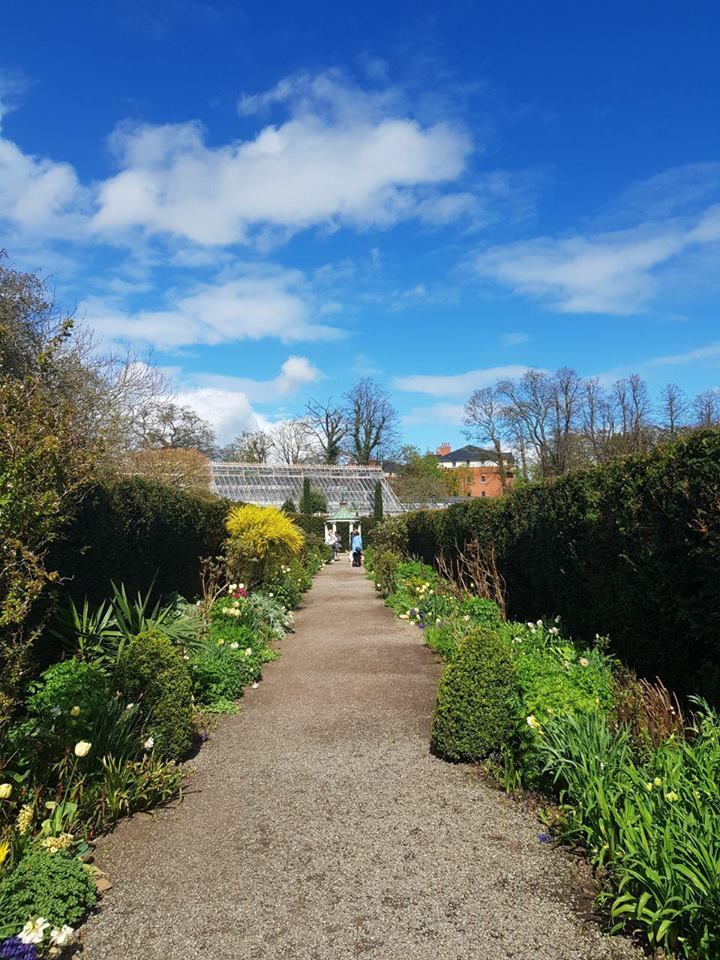 Климат и погода в Ирландии