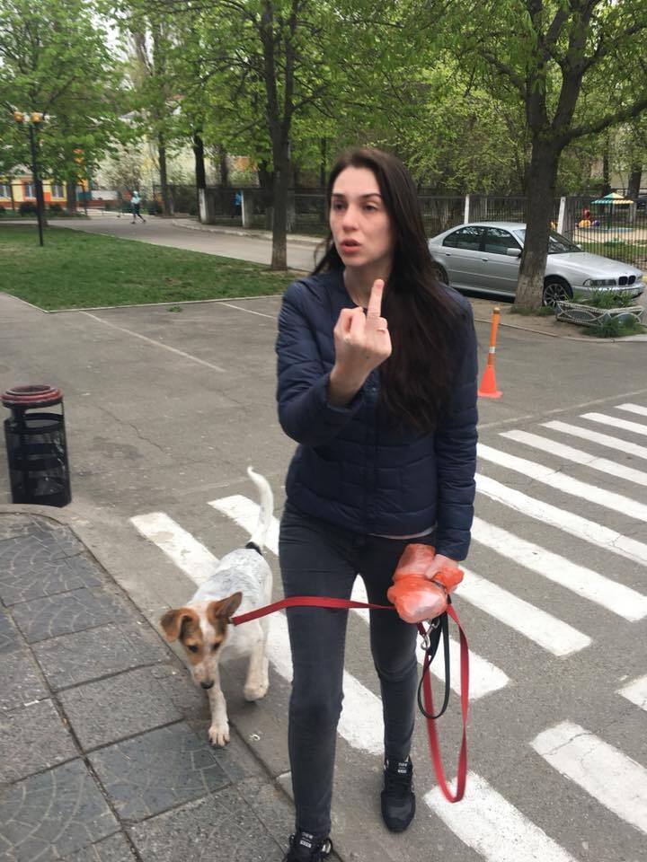 Культура жителей Киева: а вы убираете за своей собакой?