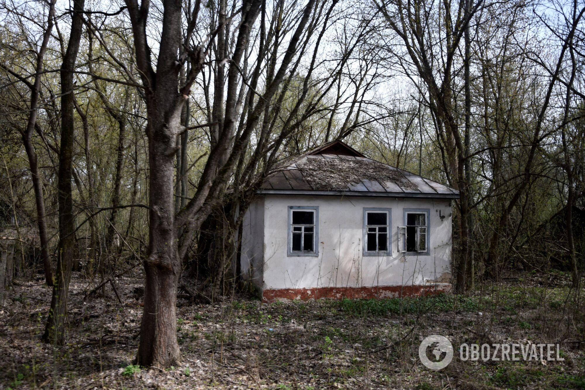 Чернобыль, или туда и обратно: репортаж из мертвой зоны