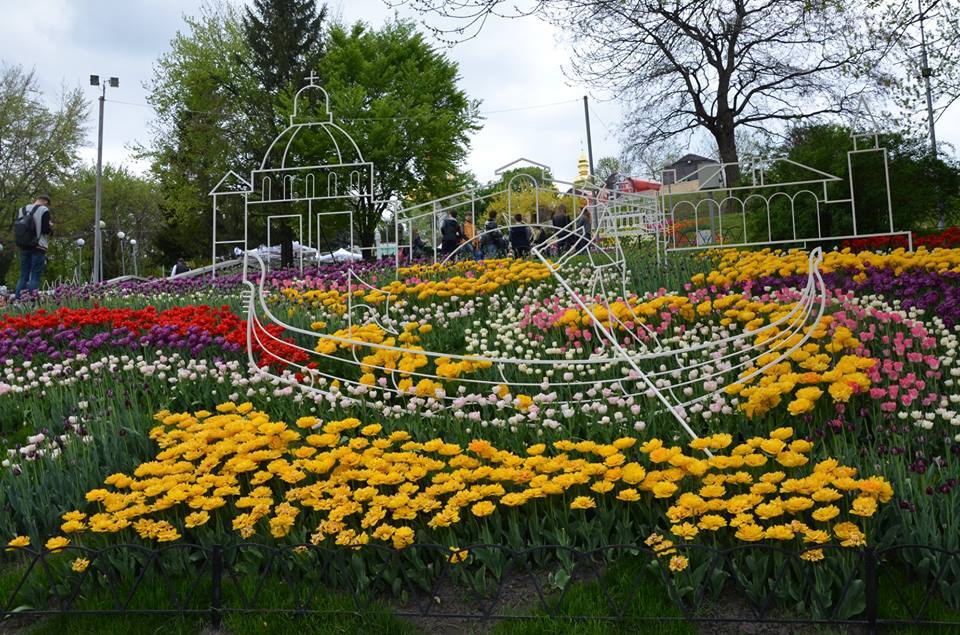 В Киеве открылась большая выставка тюльпанов: фоторепортаж 