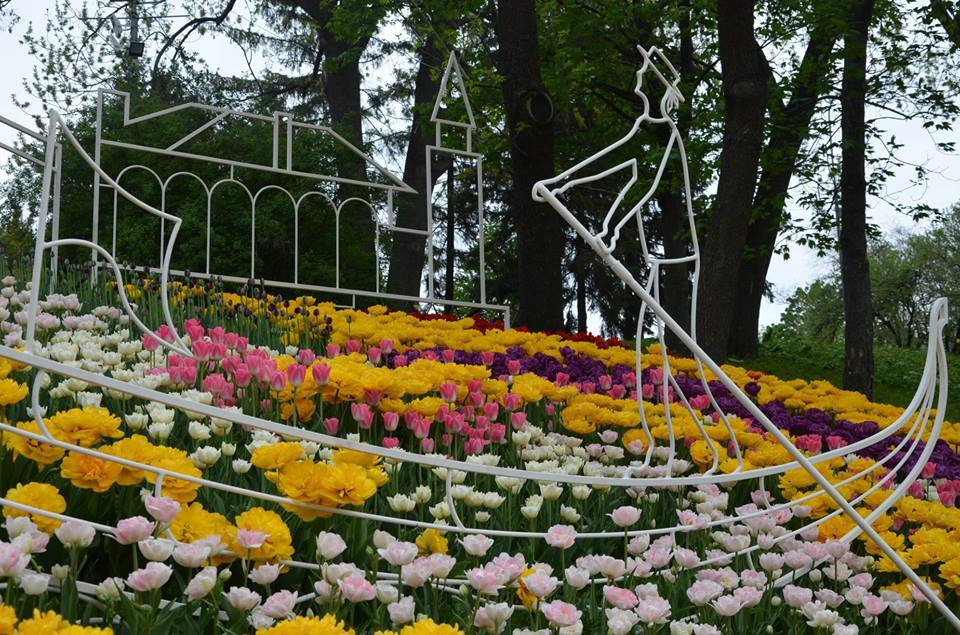 У Києві відкрилася велика виставка тюльпанів: фоторепортаж