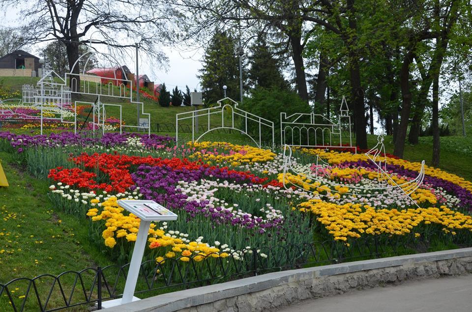 В Киеве открылась большая выставка тюльпанов: фоторепортаж 