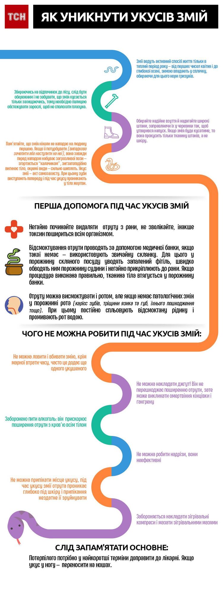 Як врятуватися від укусів змій під час відпочинку в лісі: інфографіка