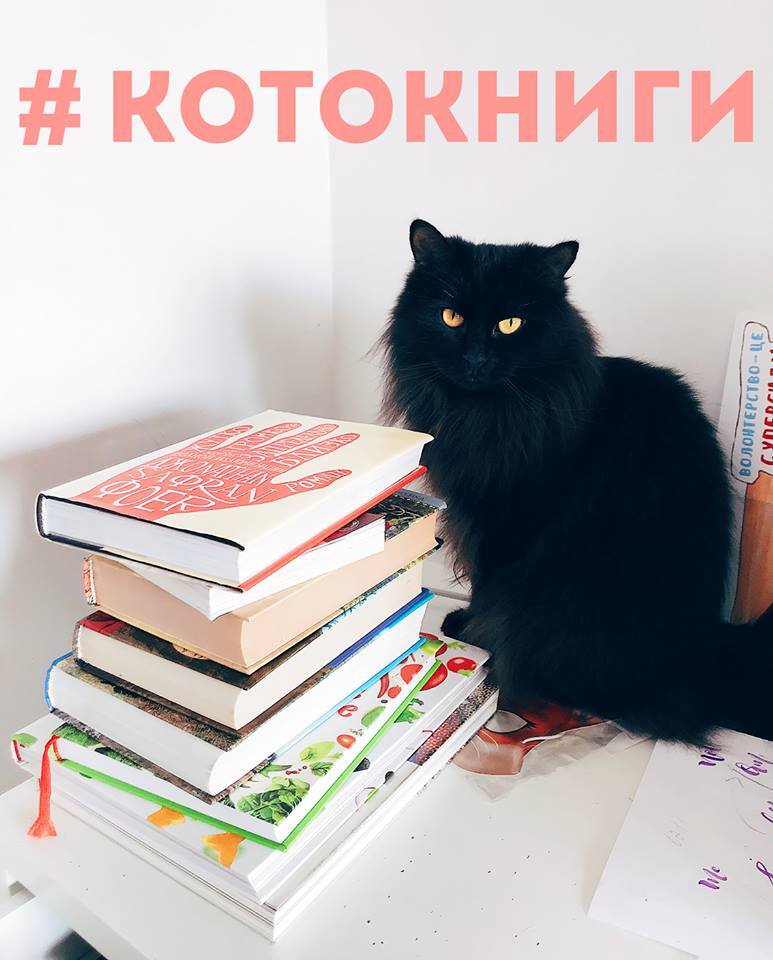 Волонтери проводять книжковий аукціон заради допомоги котам