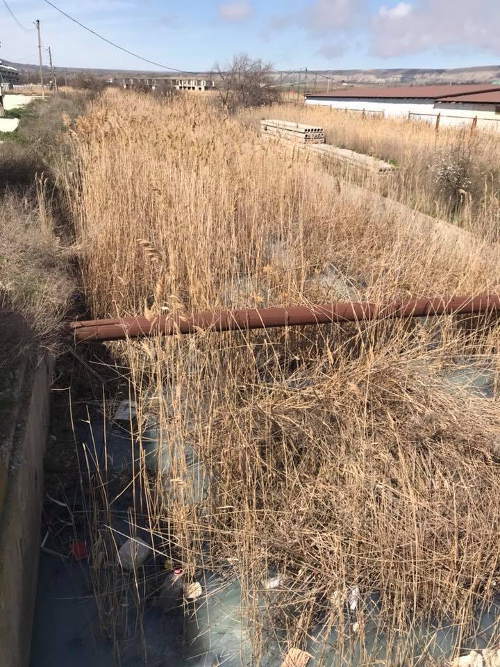 Всі мовчать! Ярий "кримнашист" заістерив через катастрофу в Криму