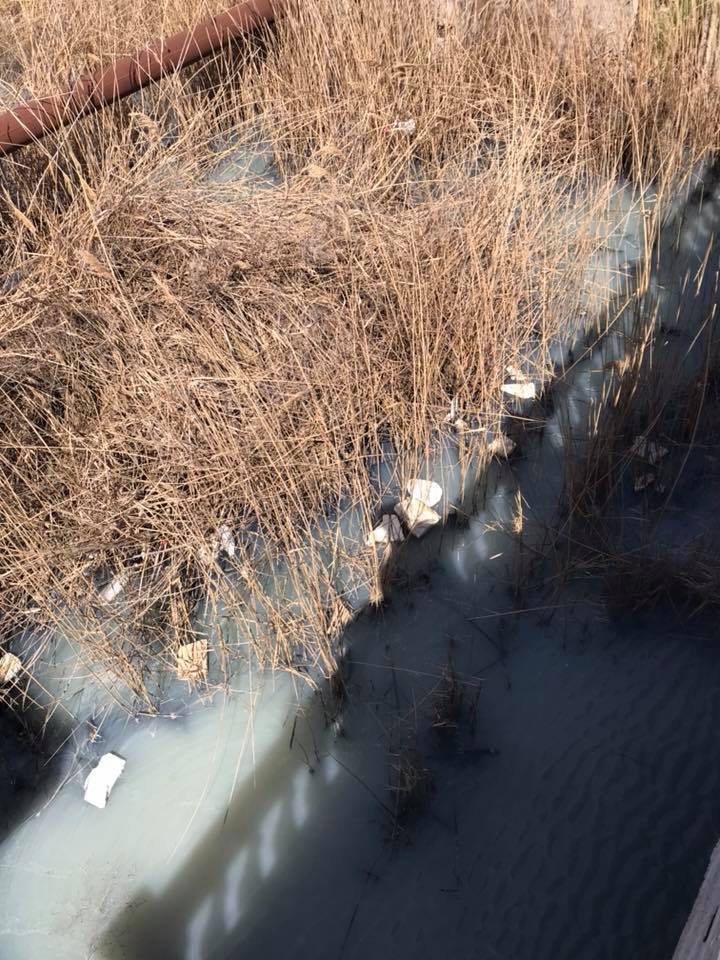 Всі мовчать! Ярий "кримнашист" заістерив через катастрофу в Криму