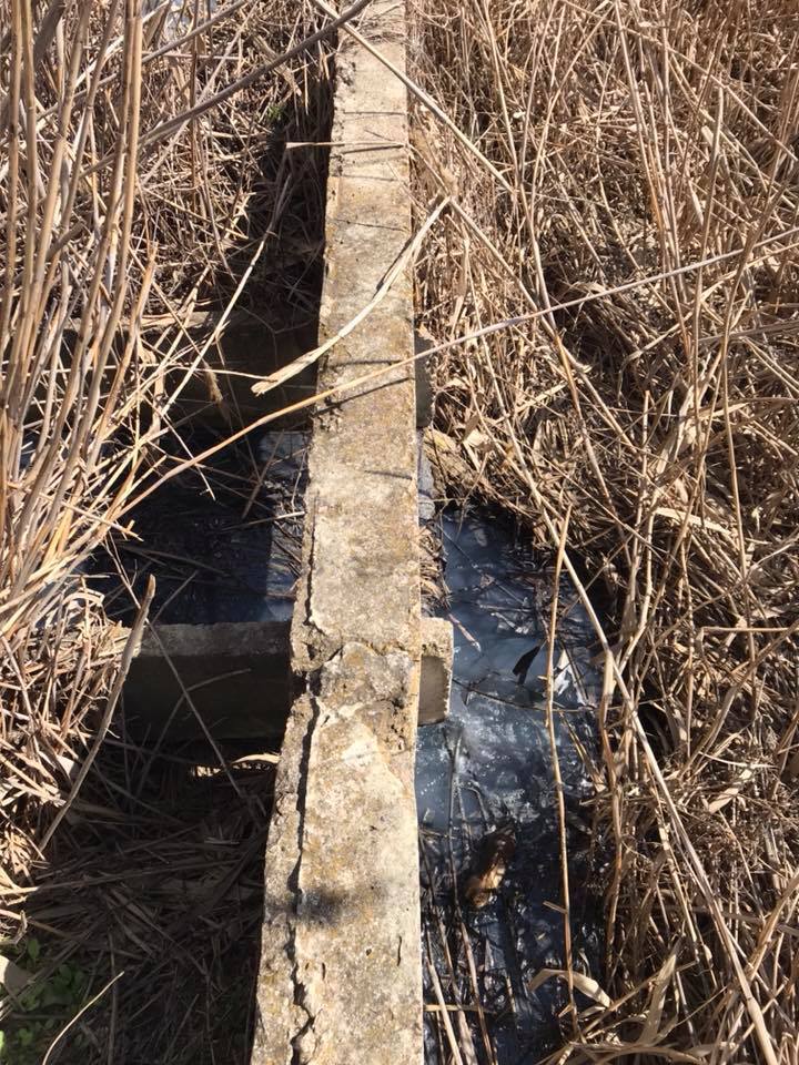 Всі мовчать! Ярий "кримнашист" заістерив через катастрофу в Криму