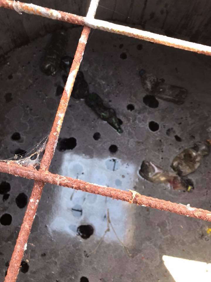 Всі мовчать! Ярий "кримнашист" заістерив через катастрофу в Криму