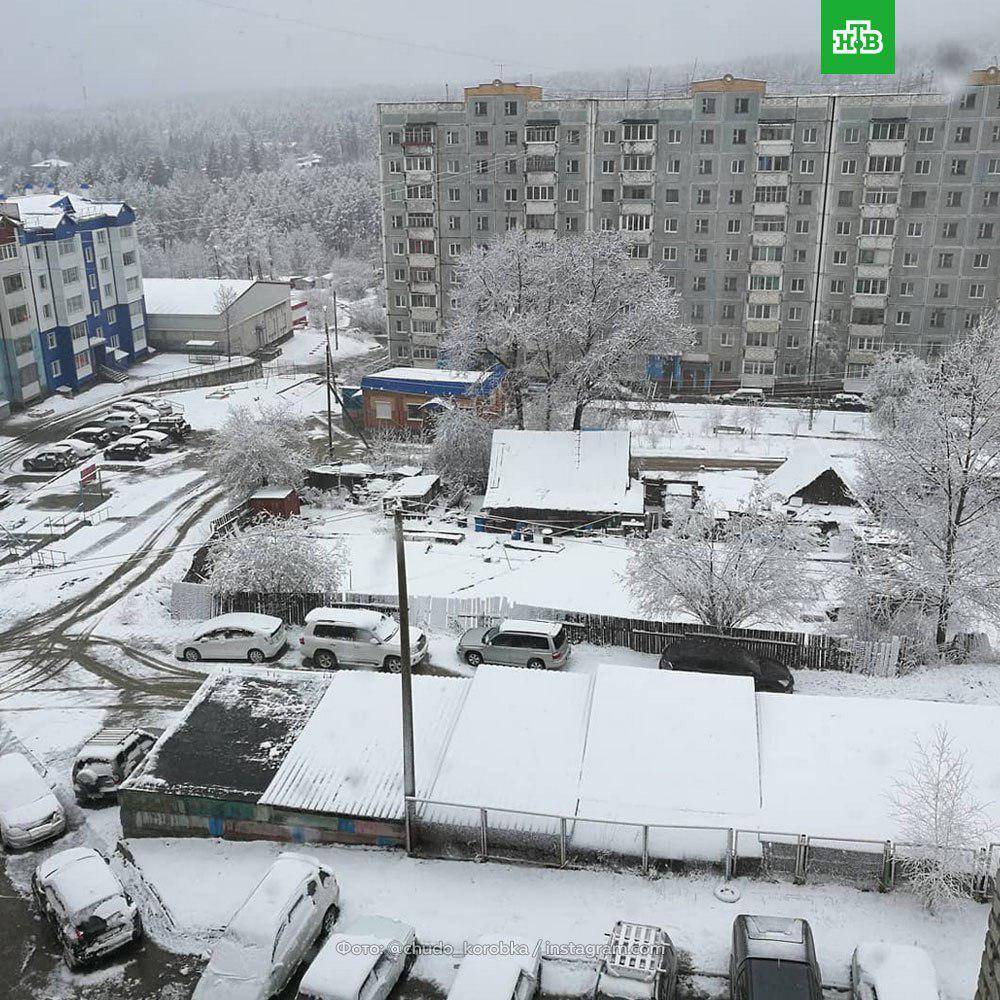 В России среди мая выпал снег: опубликованы фото