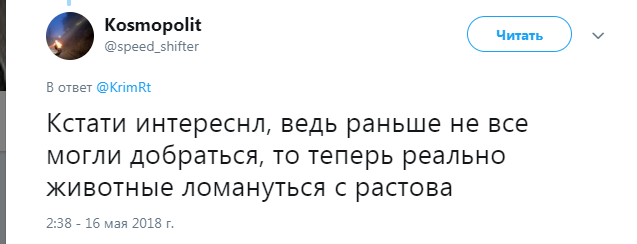 Слідом за Путіним: "Нічних вовків" спіймали на порушенні ПДР на Кримському мосту