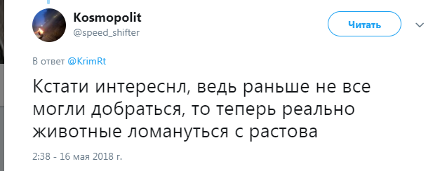 Вслед за Путиным: "Ночных волков" поймали на нарушении ПДД на Крымском мосту