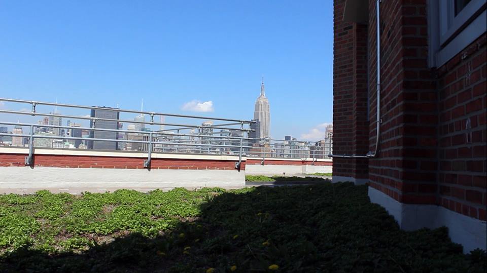 Неймовірний офіс Google у Нью-Йорку