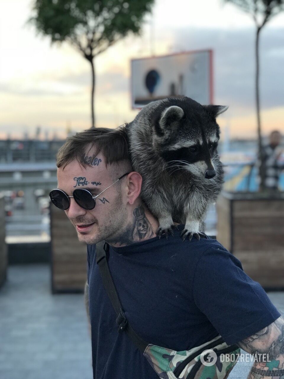 Де вишиванка: єнот-патріот став зіркою київського свята