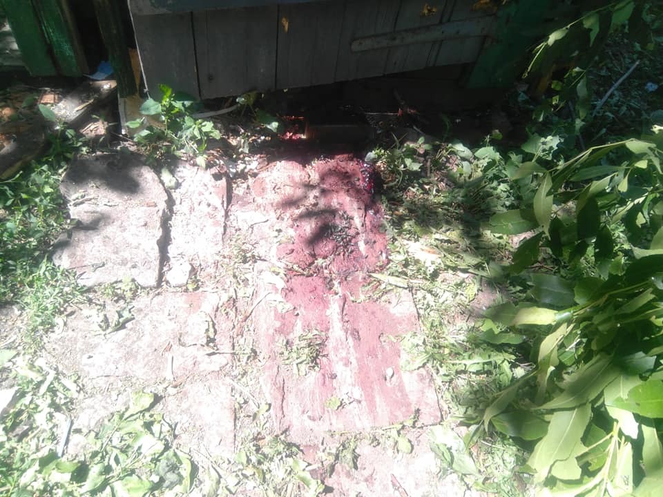 Вбивство дитини на Донбасі: з'явилися подробиці трагедії та фото