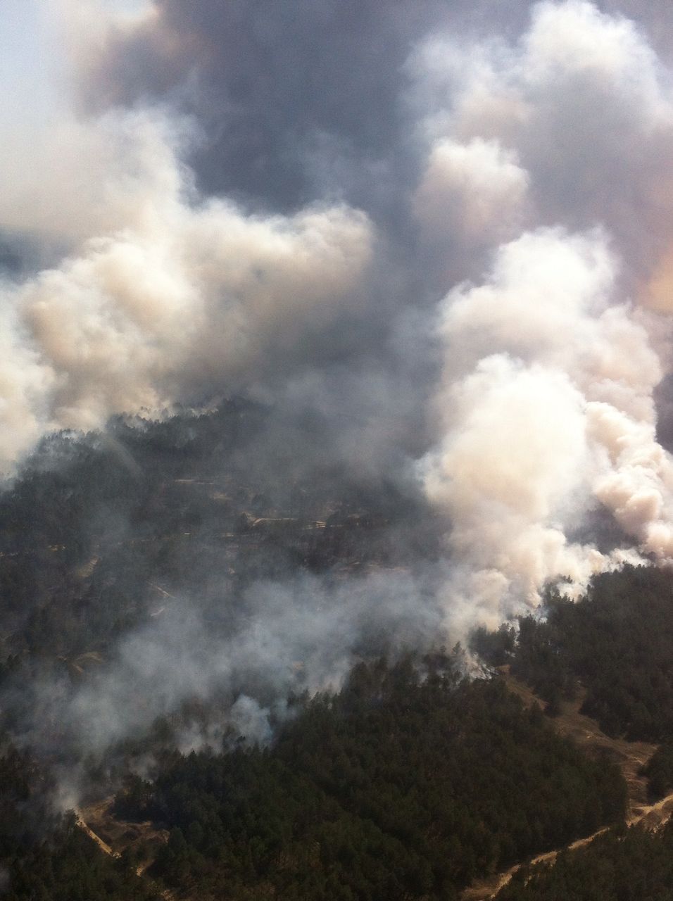 В Україні спалахнула сильна лісова пожежа