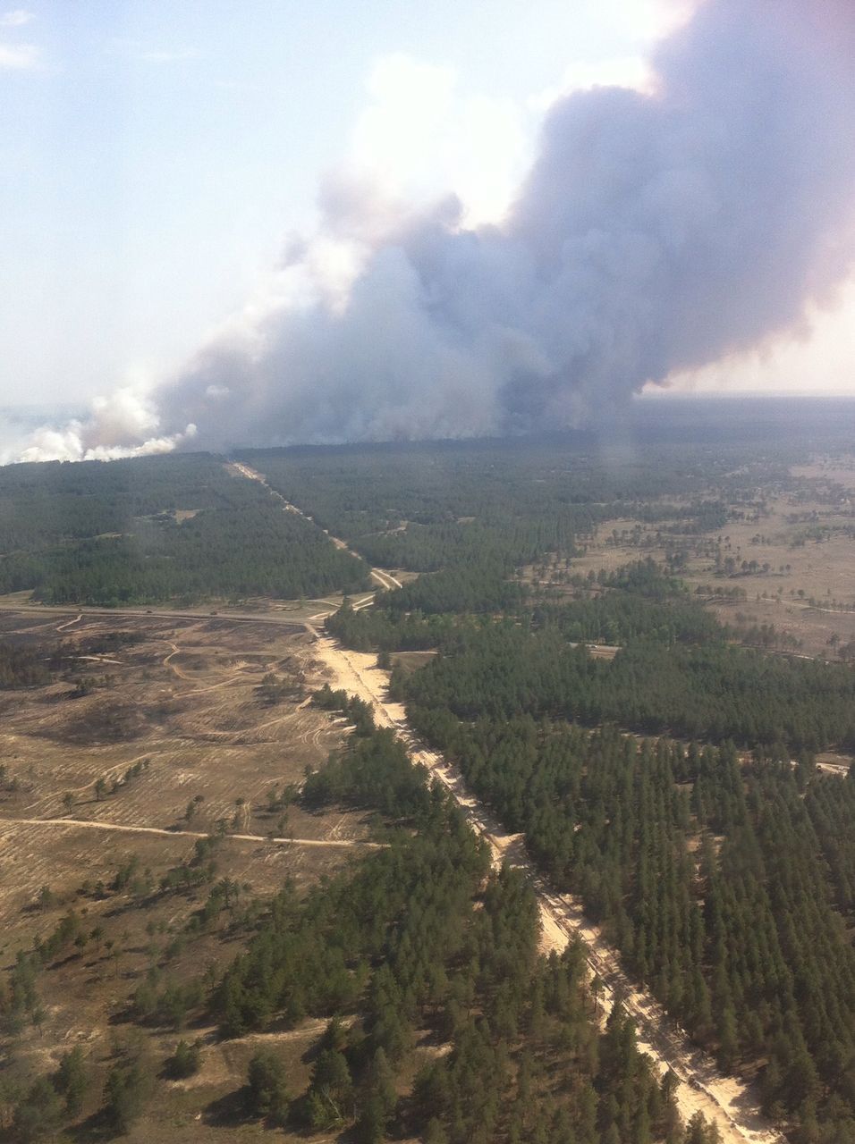 В Україні спалахнула сильна лісова пожежа