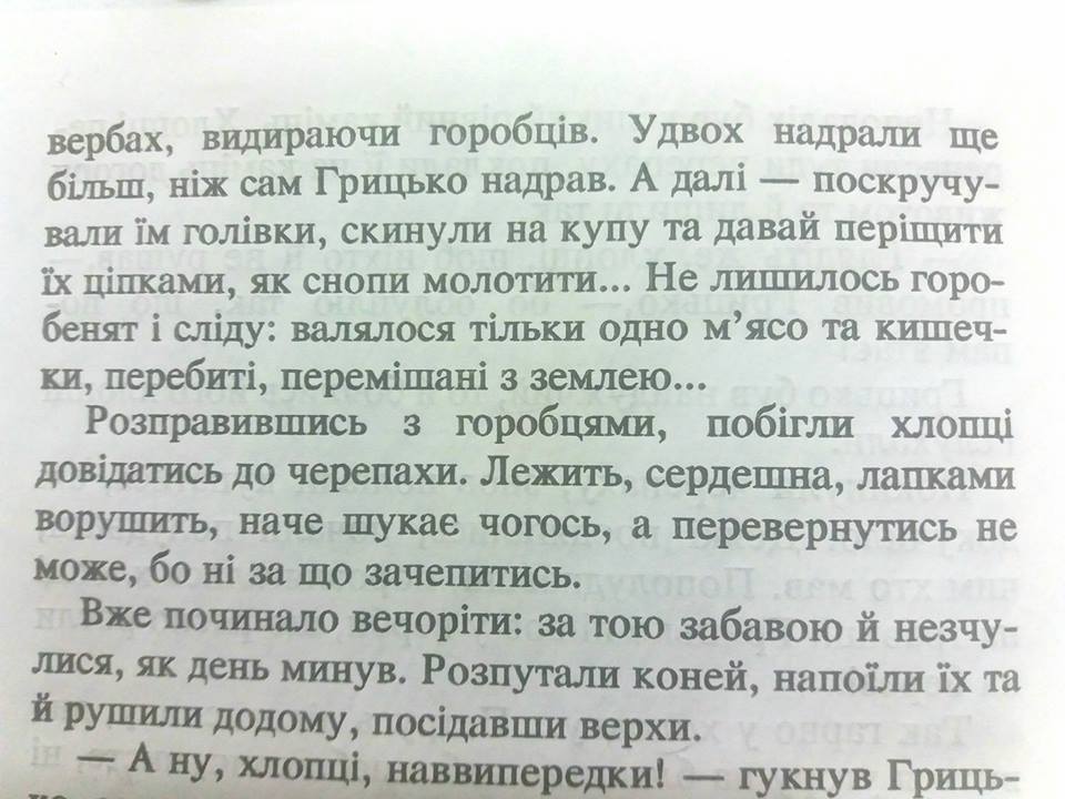 "Залишилося м'ясо і кішочкі перебиті": у Києві батьки забили на сполох через книгу для 3-класників