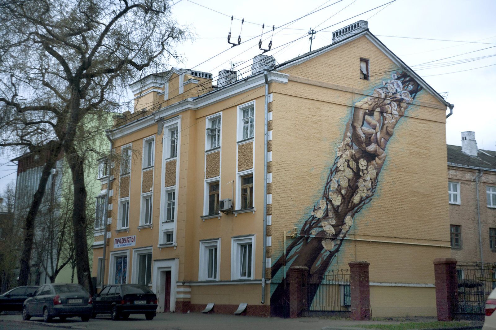 Об'єднав Україну: художник з Харкова створив незвичайні мурали в чотирьох містах