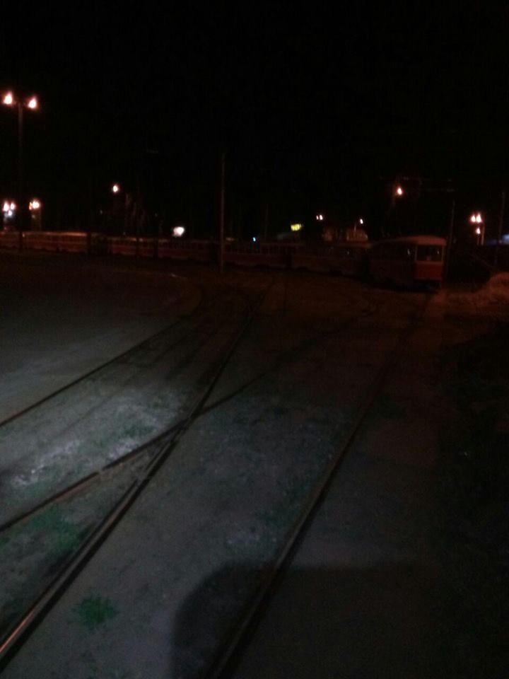 Лисиця влаштувала переполох в трамвайному депо Києва: опубліковані фото