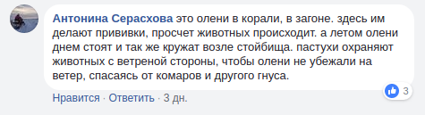 Facebook Андрея Головнева