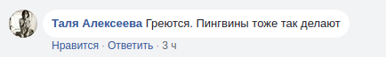 Facebook Андрея Головнева