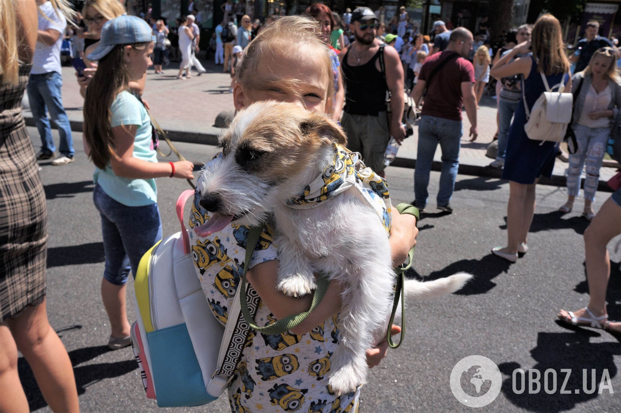 По центру Киева одновременно прошлись сотни джек-расселов: яркий фоторепортаж