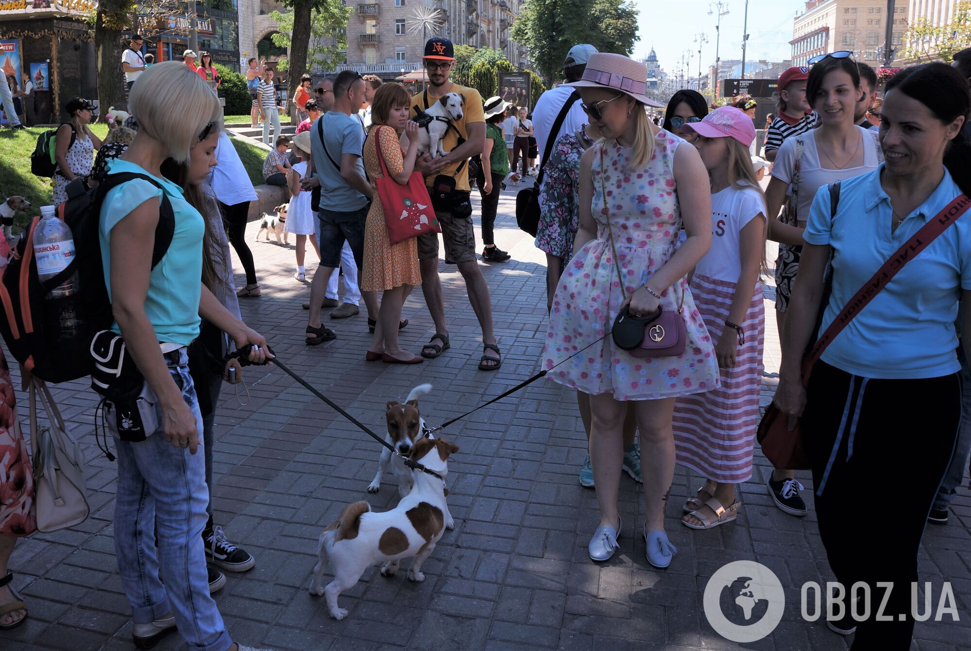По центру Києва одночасно пройшлися сотні джек-рассел: яскравий фоторепортаж